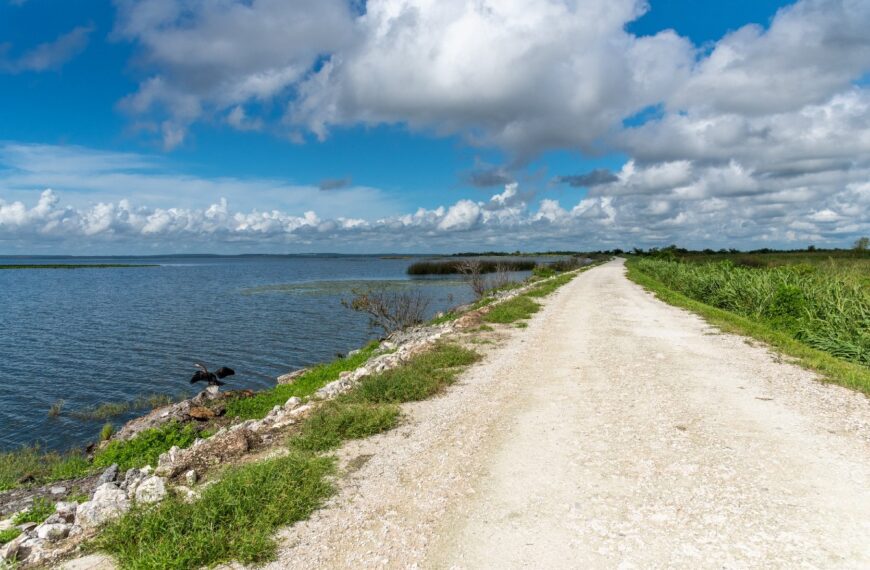 Spring into Adventure: Top Hiking Trails Near Orlando